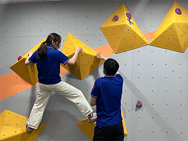 home bouldering wall, rock climbing wall, home climbing wall, climbing training, climbing route